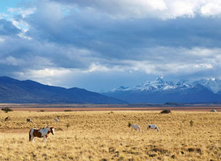 Les Andes Patagoniques d'Argentine