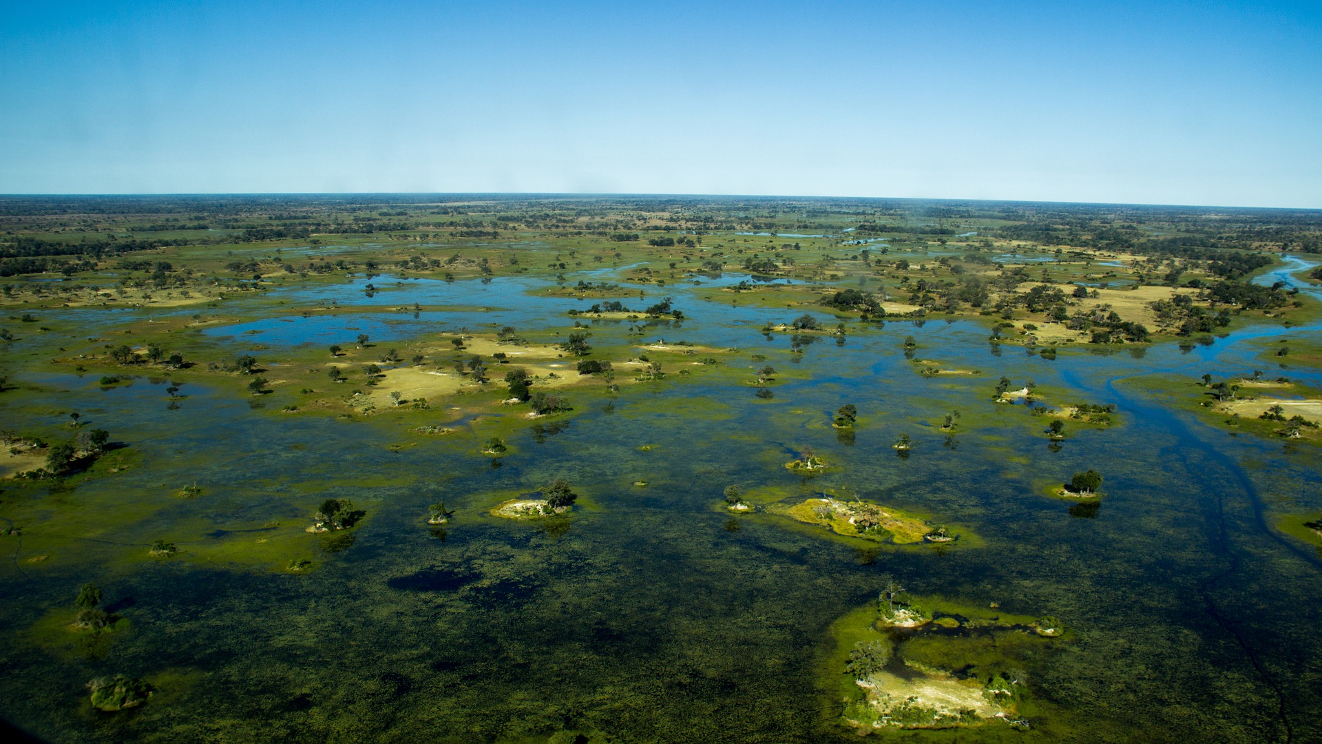 DELTA OKAVANGO