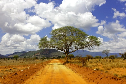 Chaine volcanique des Chyulu, dans l'Ouest du Savo - Kenya