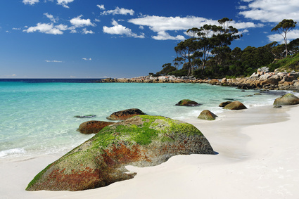 Plage de Tasmanie en Australie 