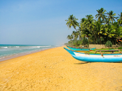 Plage de sable fin au Sri Lanka