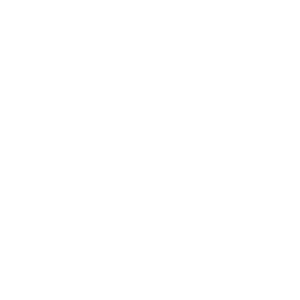 TW VOYAGES